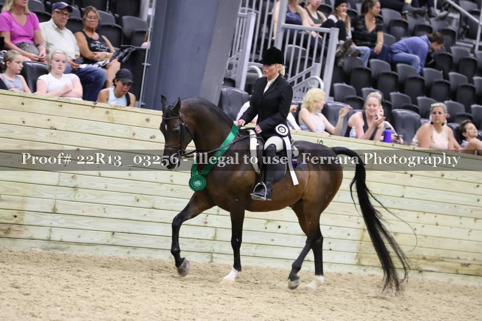 Proof 22R13_03256