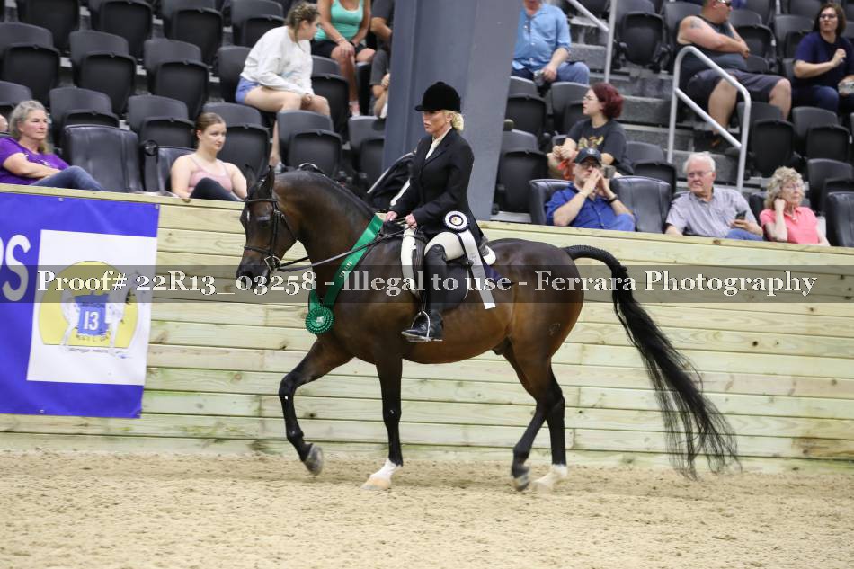 Proof 22R13_03258