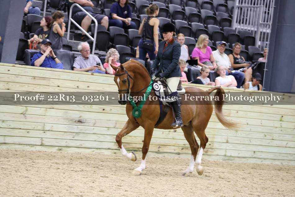 Proof 22R13_03261