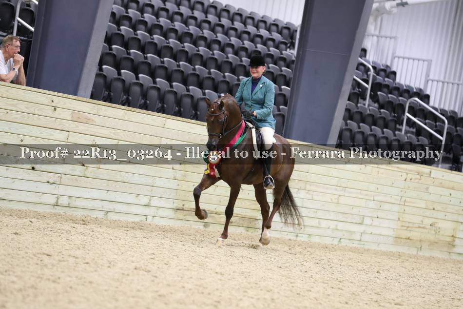 Proof 22R13_03264