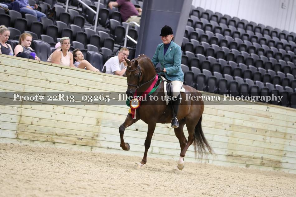 Proof 22R13_03265