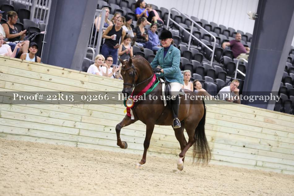 Proof 22R13_03266