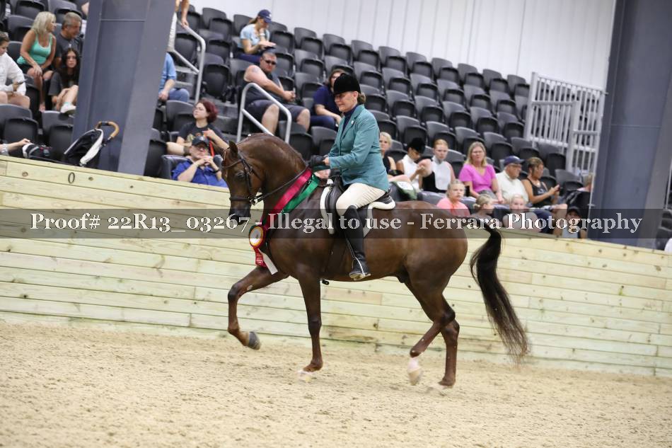 Proof 22R13_03267