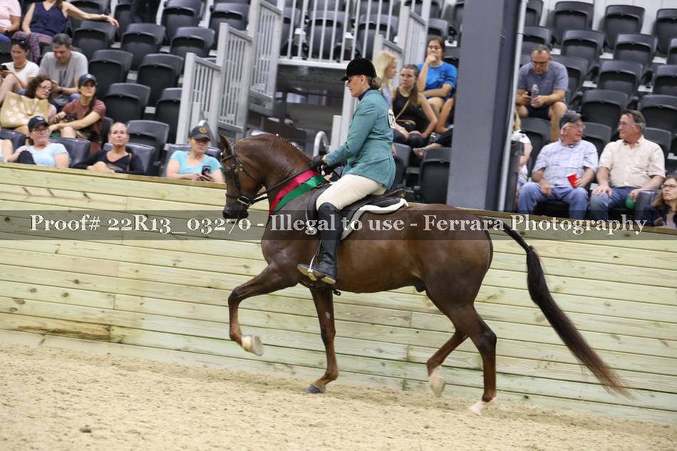 Proof 22R13_03270