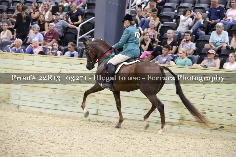 Proof 22R13_03271