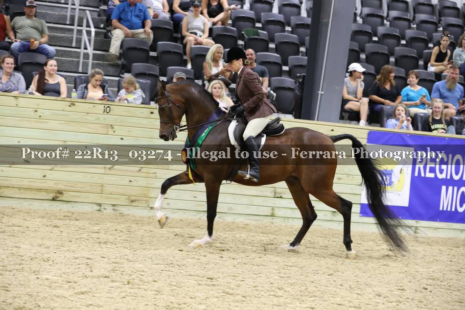 Proof 22R13_03274