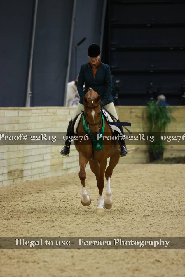 Proof 22R13_03276