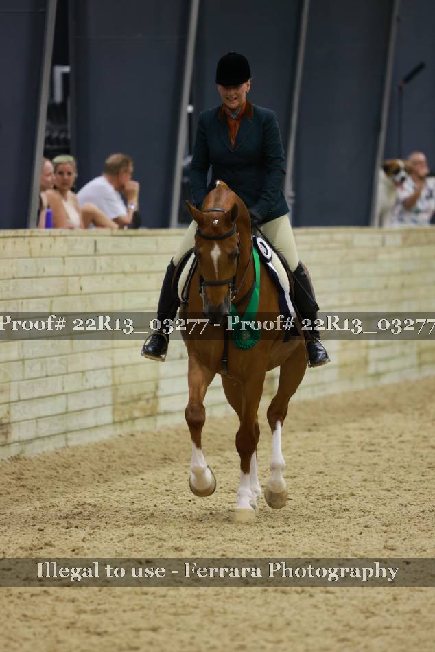 Proof 22R13_03277