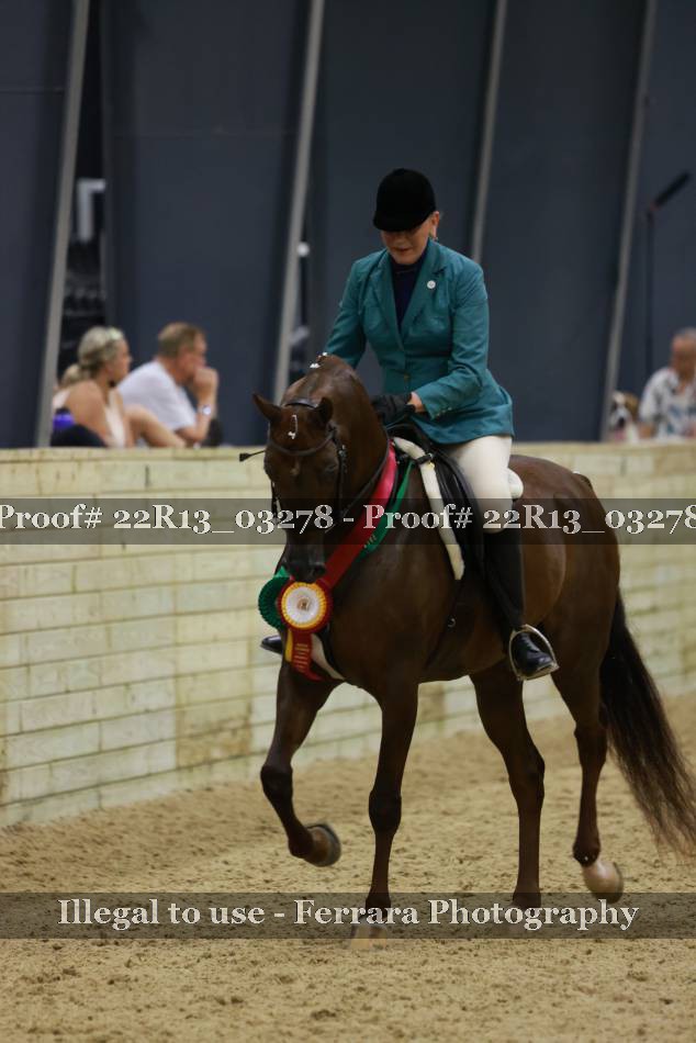 Proof 22R13_03278