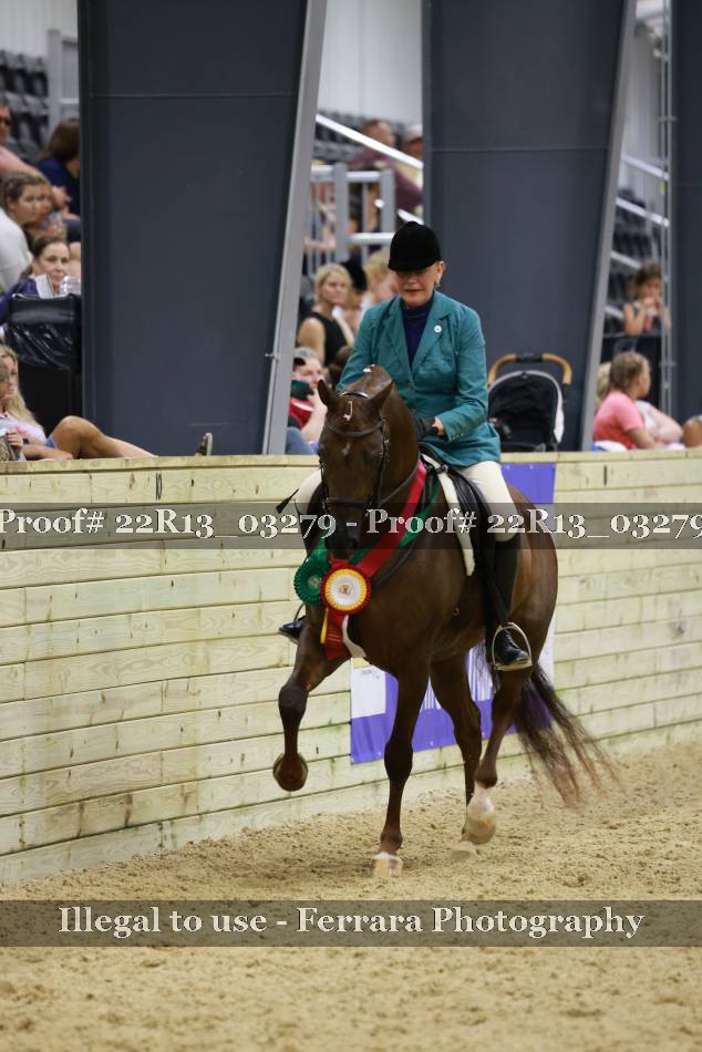 Proof 22R13_03279