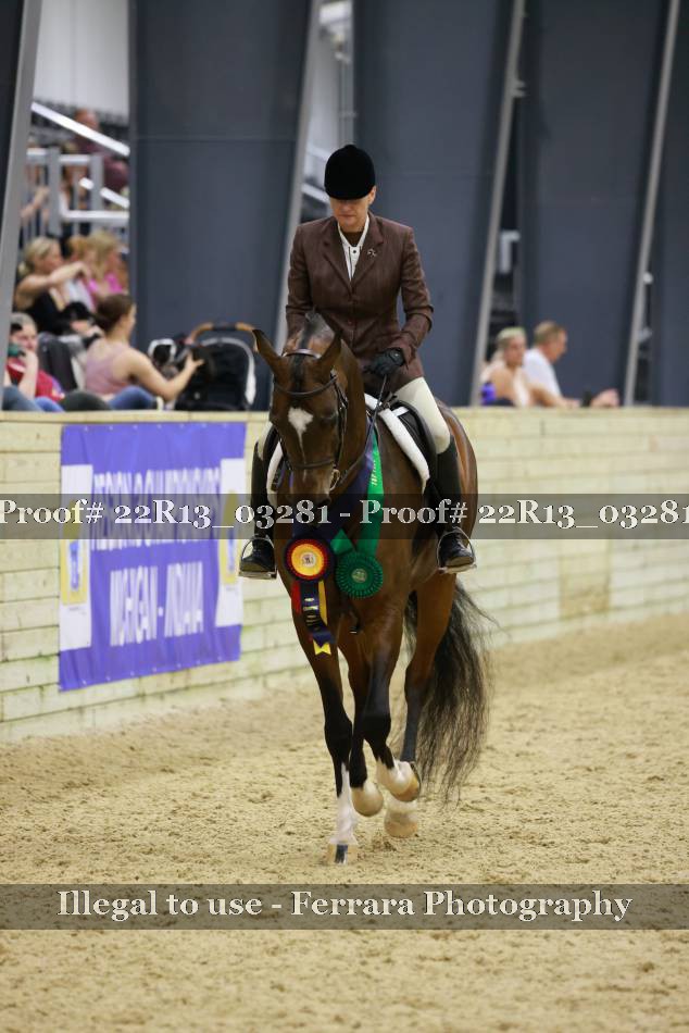 Proof 22R13_03281