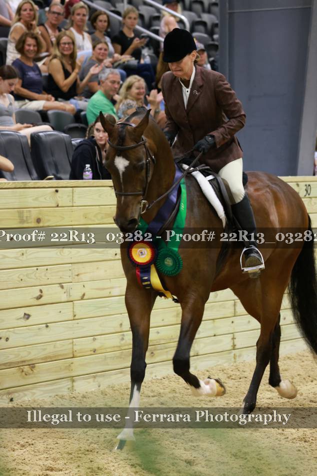 Proof 22R13_03282