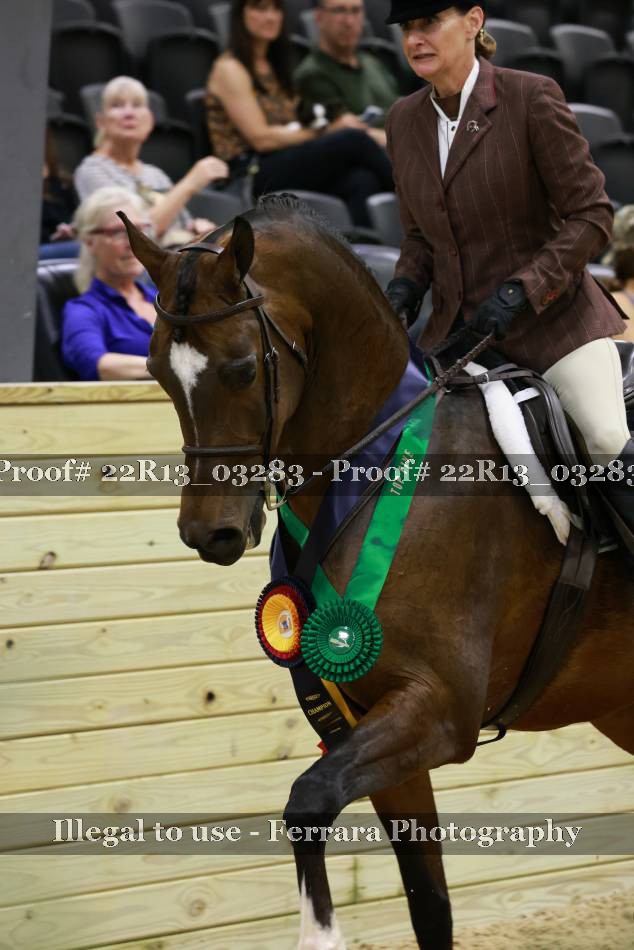 Proof 22R13_03283