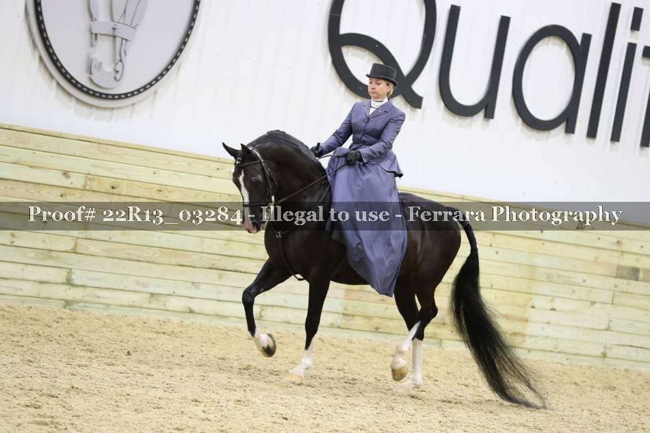 Proof 22R13_03284