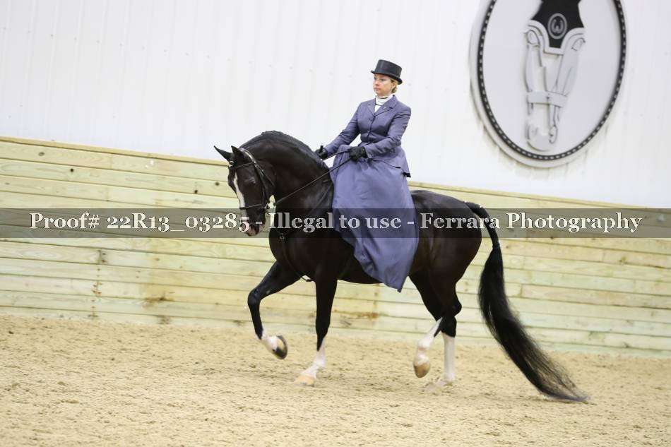 Proof 22R13_03285