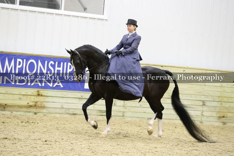 Proof 22R13_03286