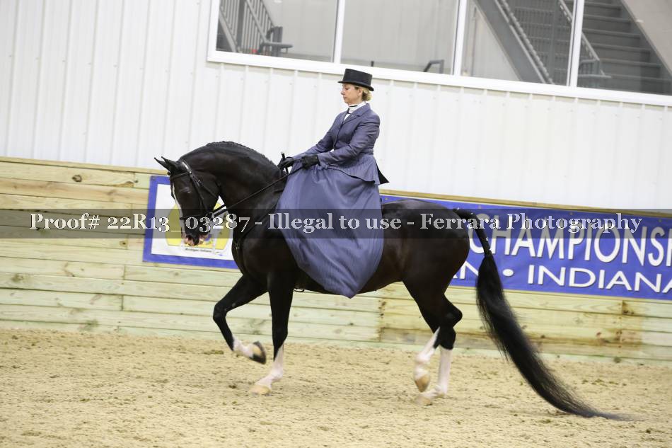 Proof 22R13_03287