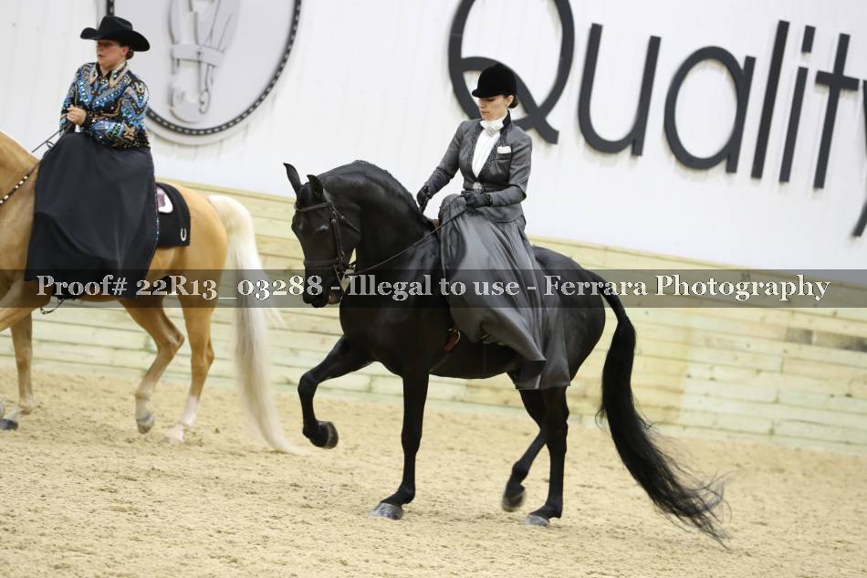 Proof 22R13_03288