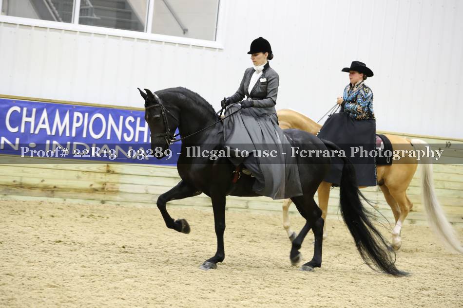 Proof 22R13_03289