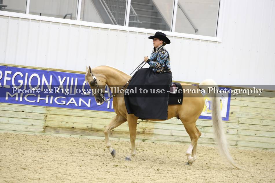 Proof 22R13_03290