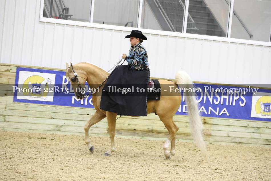 Proof 22R13_03291