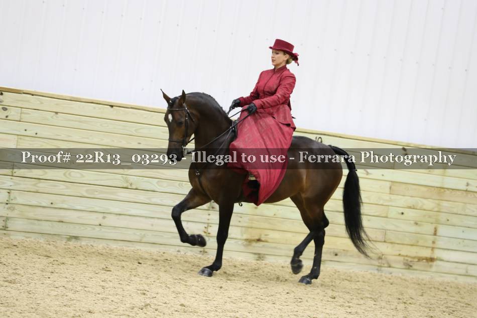 Proof 22R13_03293