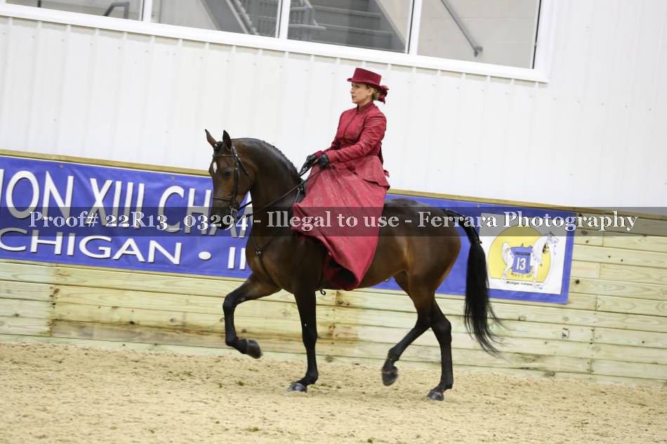 Proof 22R13_03294