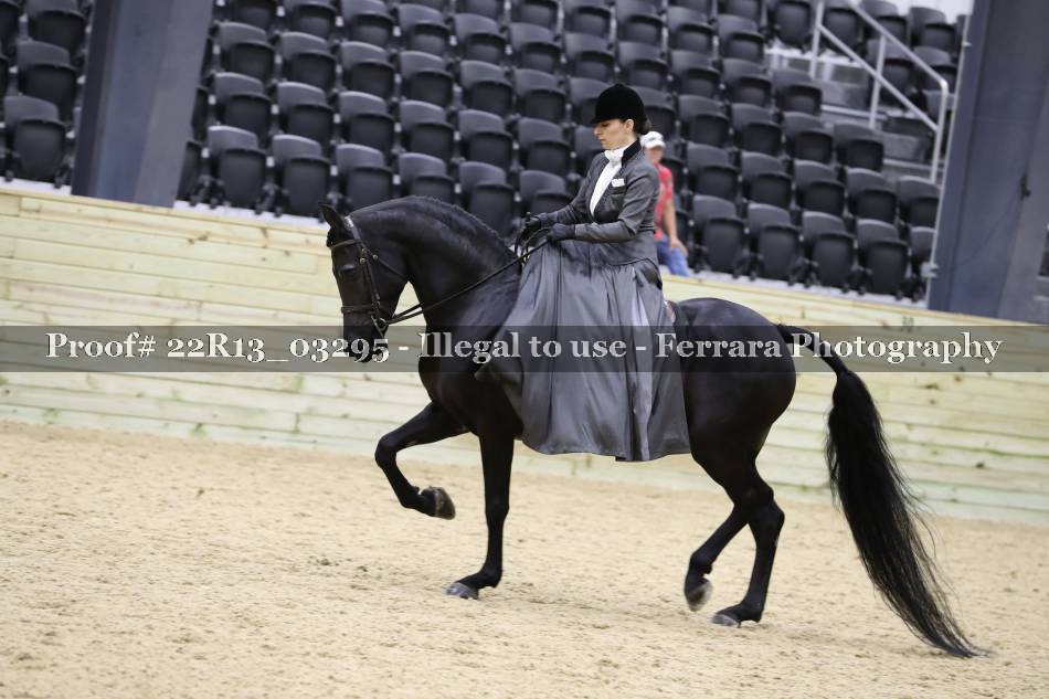 Proof 22R13_03295
