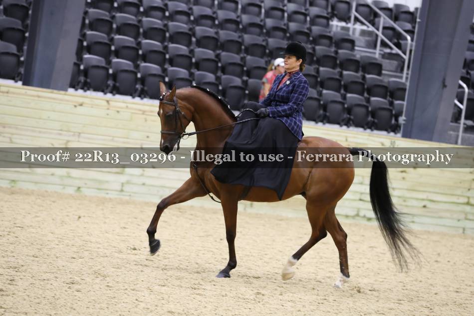 Proof 22R13_03296