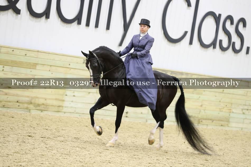 Proof 22R13_03297