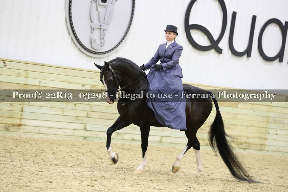 Proof 22R13_03298