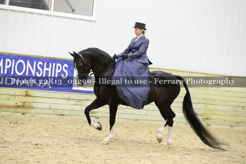 Proof 22R13_03299