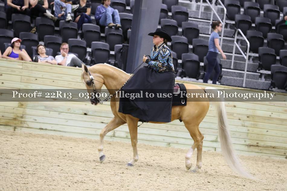 Proof 22R13_03300