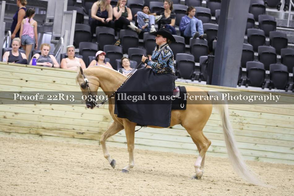 Proof 22R13_03301