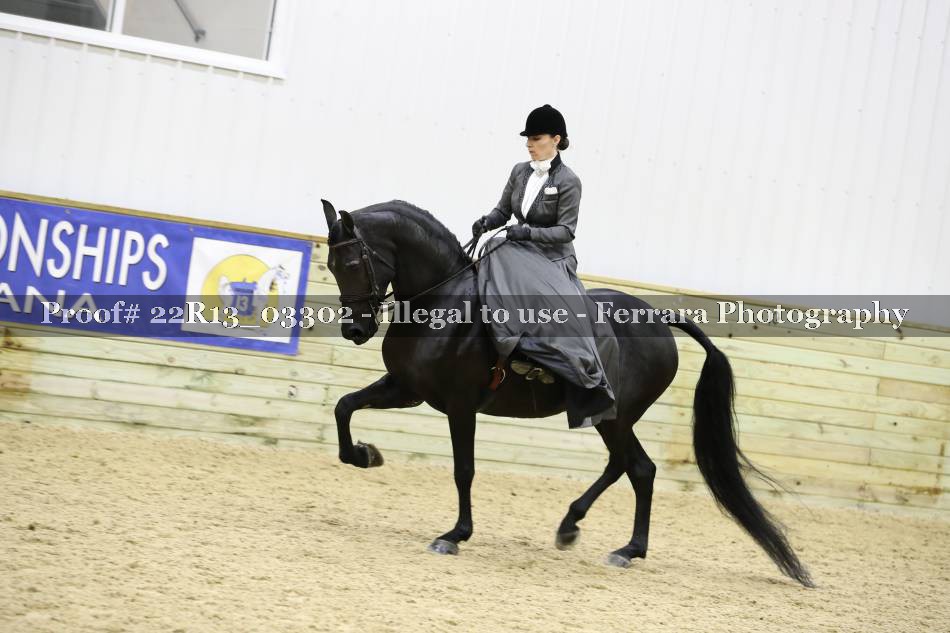 Proof 22R13_03302
