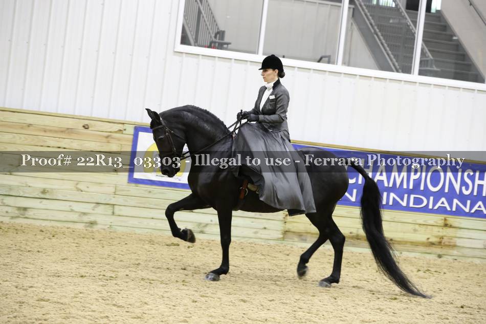 Proof 22R13_03303