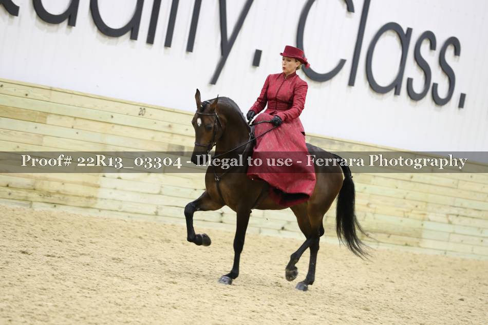 Proof 22R13_03304