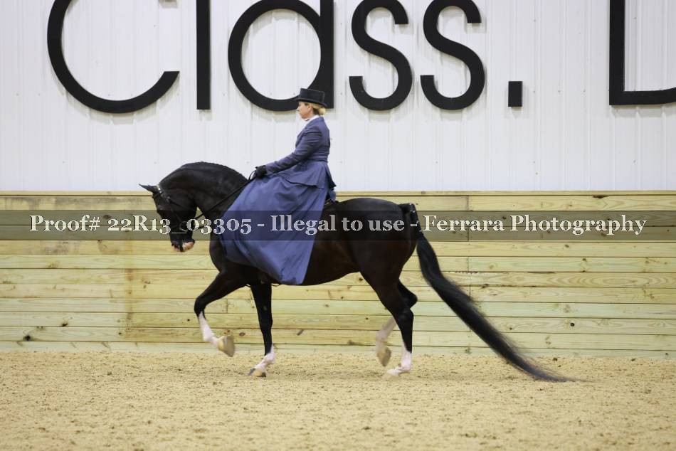 Proof 22R13_03305