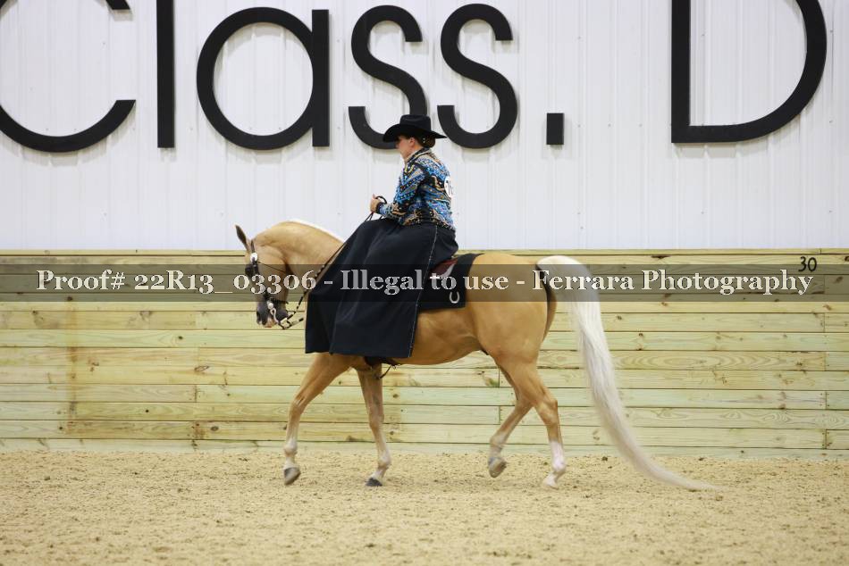 Proof 22R13_03306
