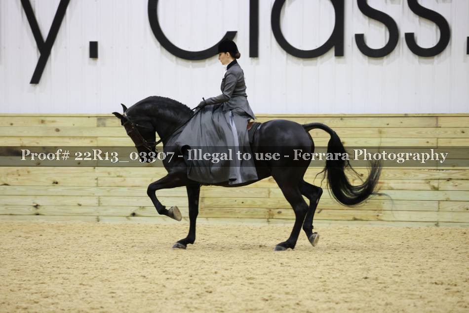 Proof 22R13_03307