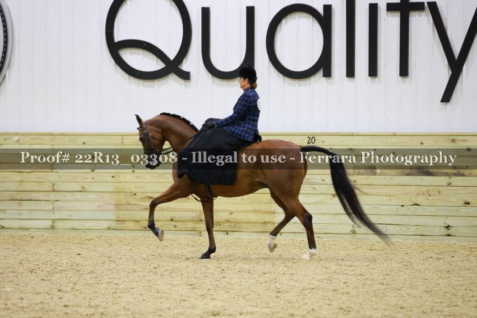 Proof 22R13_03308