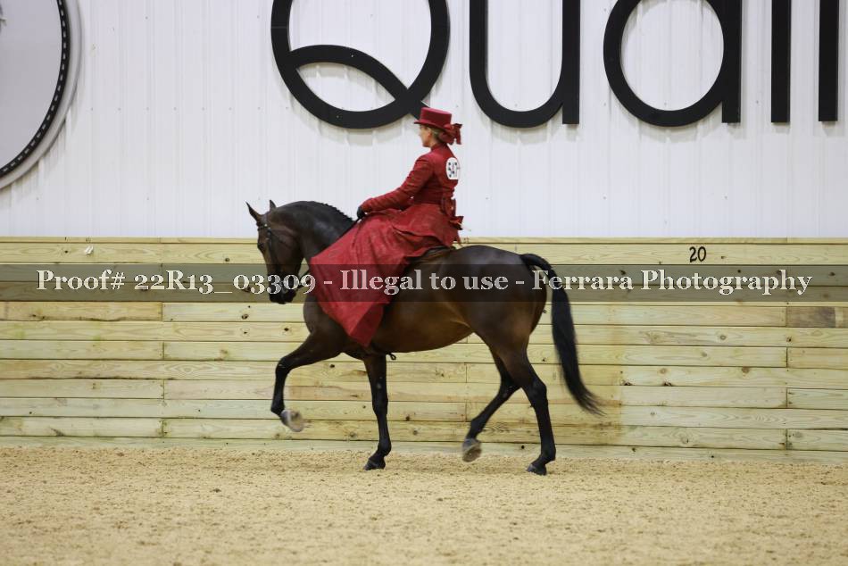 Proof 22R13_03309