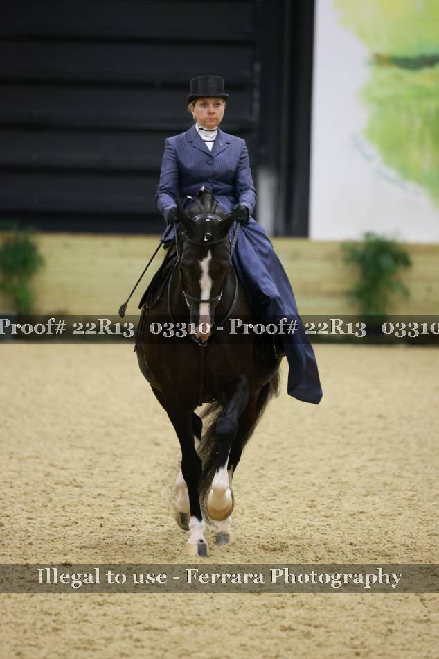 Proof 22R13_03310