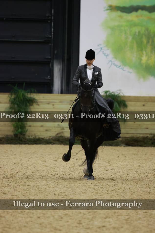 Proof 22R13_03311