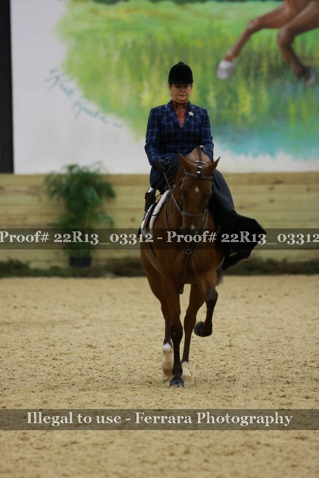 Proof 22R13_03312
