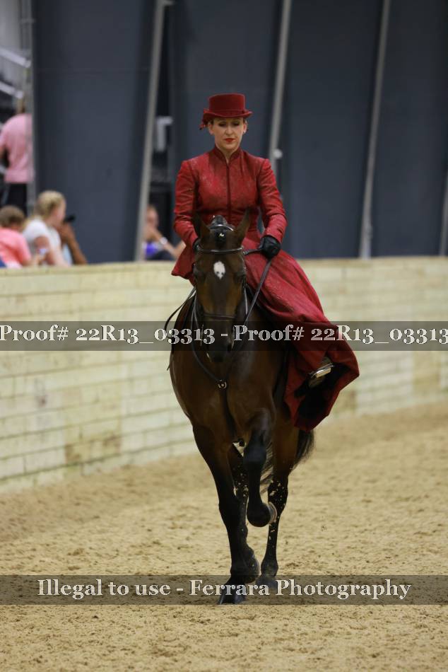 Proof 22R13_03313
