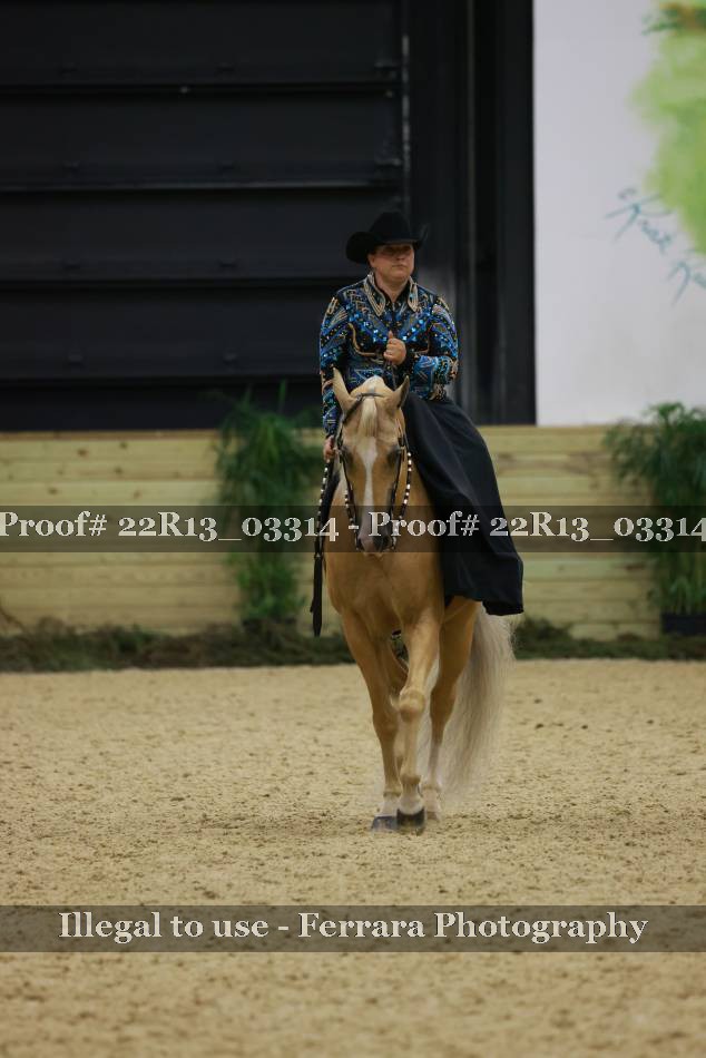 Proof 22R13_03314