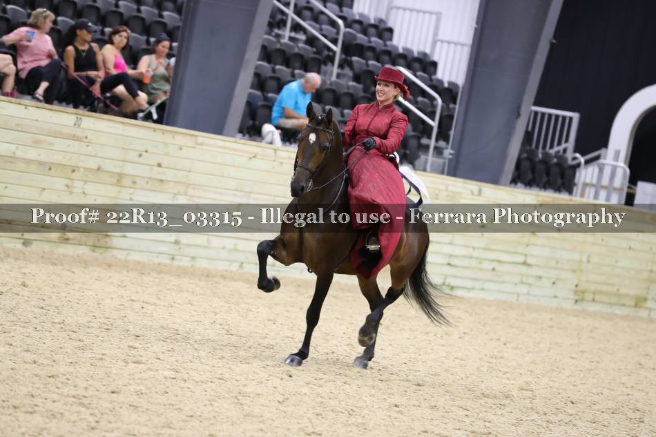 Proof 22R13_03315