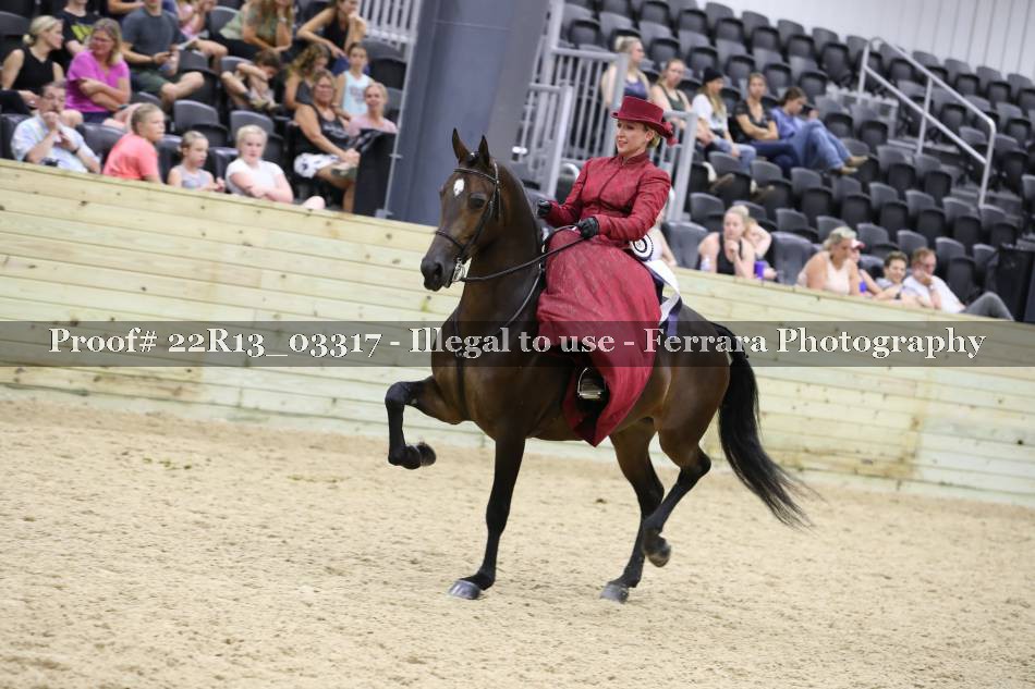 Proof 22R13_03317