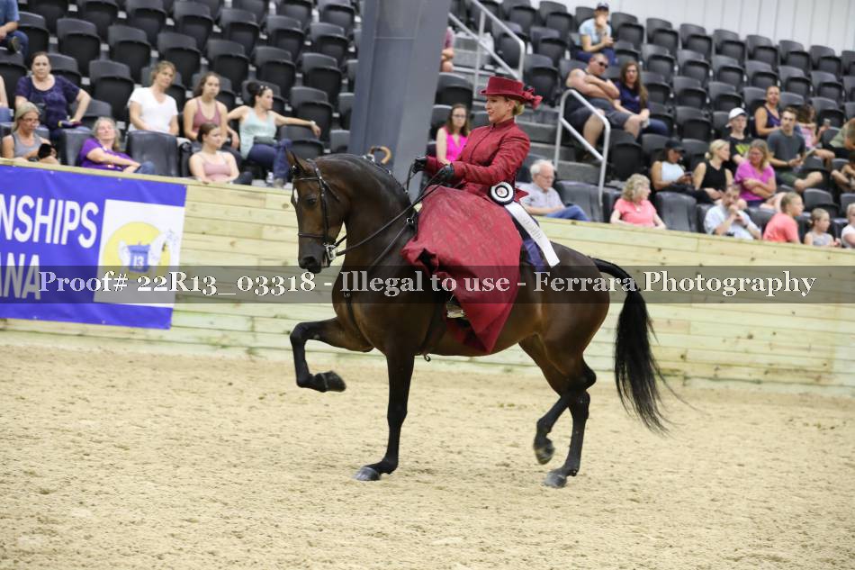 Proof 22R13_03318